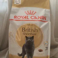 غذای خشک گربه رویال کنین بریتیش