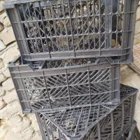 سبد