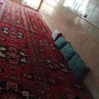 اجاره خانه|اجارهٔ آپارتمان|قم, ولیعصر|دیوار