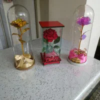 گل زیبا فروشی