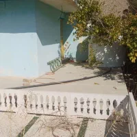 باغ ۲۸۰۰ متری فاز یک سیاخ دارنگون|فروش زمین و ملک کلنگی|شیراز, جانبازان|دیوار