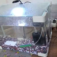 آکواریوم شیشه خم