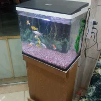 آکواریوم شیشه خم نو