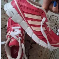 کتونی نو ادیداس اورجینال سایز ۳۳