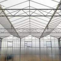 انواع پلاستیک گل خانه|خدمات باغبانی و درختکاری|شهرضا, |دیوار