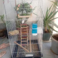 قفس بزرگ نو معاوضه