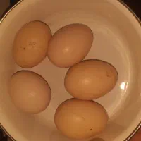 تخم مرغ لاری اصل