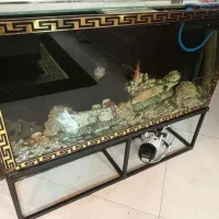 اکواریوم بزرگ
