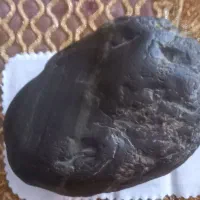 شهاب سنگ‌مریخی بی نظیر .شرگوتیت شناسنامه داد