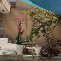 ویلایی 300 متری سه خواب دربست بازسازی|اجارهٔ خانه و ویلا|اصفهان, گورتان|دیوار