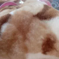 پتو نرمینه دو نفره
