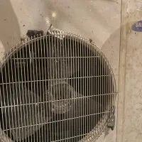 داکت اسپلیت سامسونگ|کولر گازی و فن‌کوئل|تهران, صادقیه|دیوار