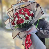 20 شاخه گل رز هلندی باقیمت عمده