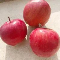 سیب قرمز و زرد