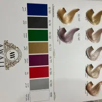 رنگ مو|آرایشی، بهداشتی، درمانی|شیراز, ارم|دیوار