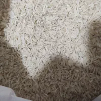 انواع برنج محلی و ایرانی|خوردنی و آشامیدنی|شیراز, احمدی جنوبی|دیوار