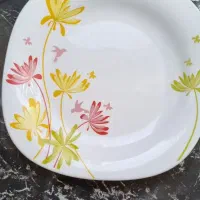 بشقاب پلو خوری و میوه خوری|ظروف سرو و پذیرایی|همدان, |دیوار