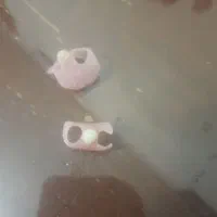 ساخت دندان مصنوعی ایرانی و خارجی|خدمات آرایشگری و زیبایی|رشت, دروازه لاکان|دیوار