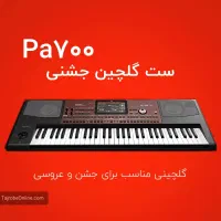 ست ارگ pa700