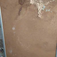 تخته وایدبرو