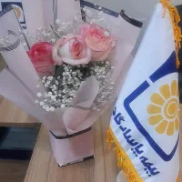 نمایندگی بیمه پاسارگاد