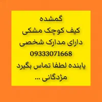 گمشده (مدارک در بلوار معلم)