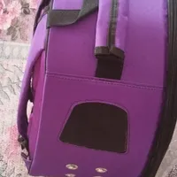 کوله پشتی نوی نو