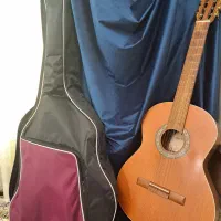 گیتار پارسی M6