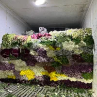 استخدام نیرو برای کار در پخش گل|استخدام خدمات فروشگاه و رستوران|شیراز, رکن‌آباد|دیوار