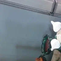 خانم جوان جهت نظافت