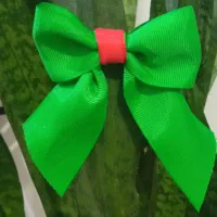 گل سر و پیکسل یلدایی|زیورآلات و اکسسوری|جهرم, |دیوار