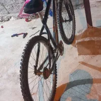 دوچرخه سواری|دوچرخه، اسکیت، اسکوتر|باشت, |دیوار