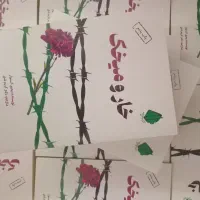 رمان خار و میخک|کتاب و مجله ادبی|قم, شهدا|دیوار