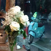 دینو کاوان 150