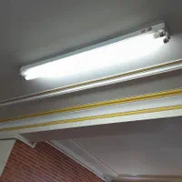 تعدادی مهتابی دوقلو و تک قلو نو به شرط سالم