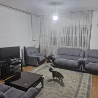 کوزو پنج تک خواب فول