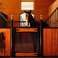 کارگر  نگهداری اسب و حیوانات اهلی