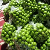 آلوچه(گوجه سبز ) ماهان