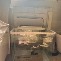 اکواریوم ماهیران