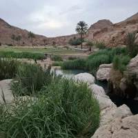 زمین مسکن ملی 350هکتاری