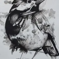 تابلو نقاشی|تابلو، نقاشی، عکس|برخوار, |دیوار