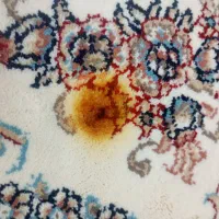 کار خانه قالی شویی بی نظیر|خدمات نظافت|حمیدیا, |دیوار