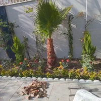 خدمات سمپاشی و باغبانی تخصصی سیار|خدمات باغبانی و درختکاری|اصفهان, شهریار|دیوار