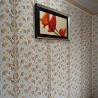 نقاشی ب سبک کاغذ دیواری|خدمات پیشه و مهارت|سیاهکل, |دیوار