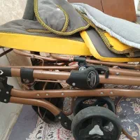 کالسکه دلیجان