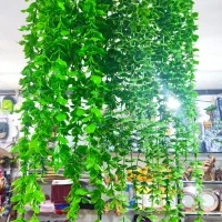 ریسه شمشاد|گل مصنوعی|قم, شاه ابراهیم|دیوار