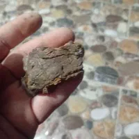 سنگ کمیاب