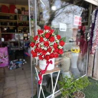 باکس گل رز وعروس