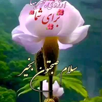 کارگر ساده خانم با محل اسکان