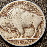 سکه قدمتدار بوفالو آمریکا با کد F